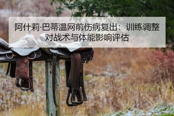 阿什莉·巴蒂温网前伤病复出：训练调整对战术与体能影响评估