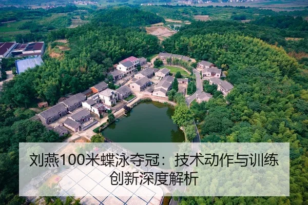 刘燕100米蝶泳夺冠：技术动作与训练创新深度解析