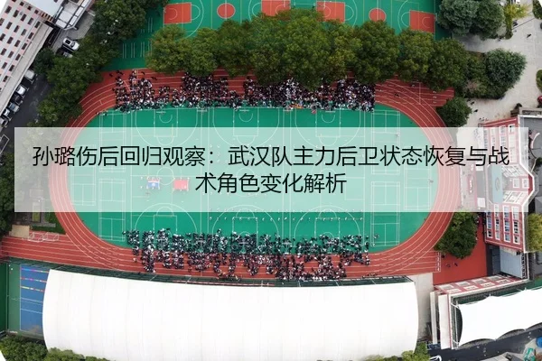 sun-lu-shang-hou-hui-gui-guan-cha-wu-han-dui-zhu-li-hou-wei-zhuang-tai-hui-fu-yu-zhan-shu-jue-se-bian-hua-jie-xi-2-677.jpg
